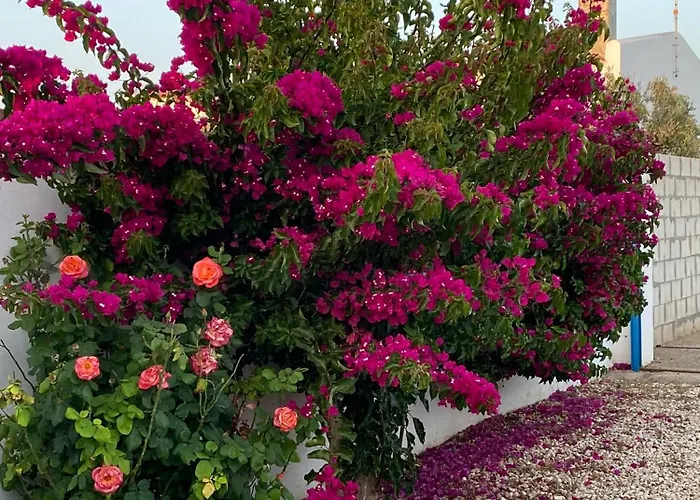 Semesterbostad Mirador Cumbres Conil - Piscina Jardin Xl